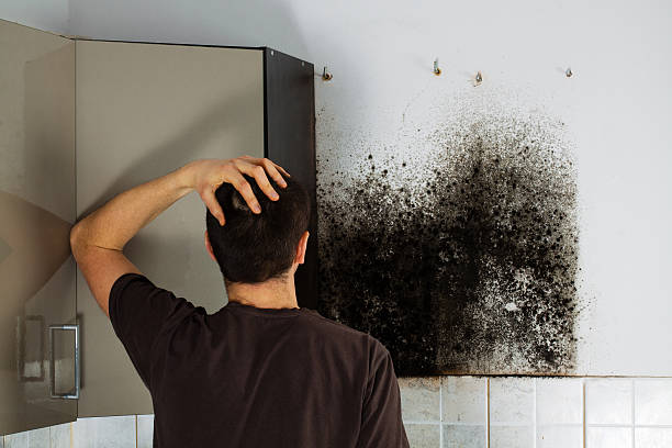 Best Crawl Space Mold Remediation in Bel Ridge, MO